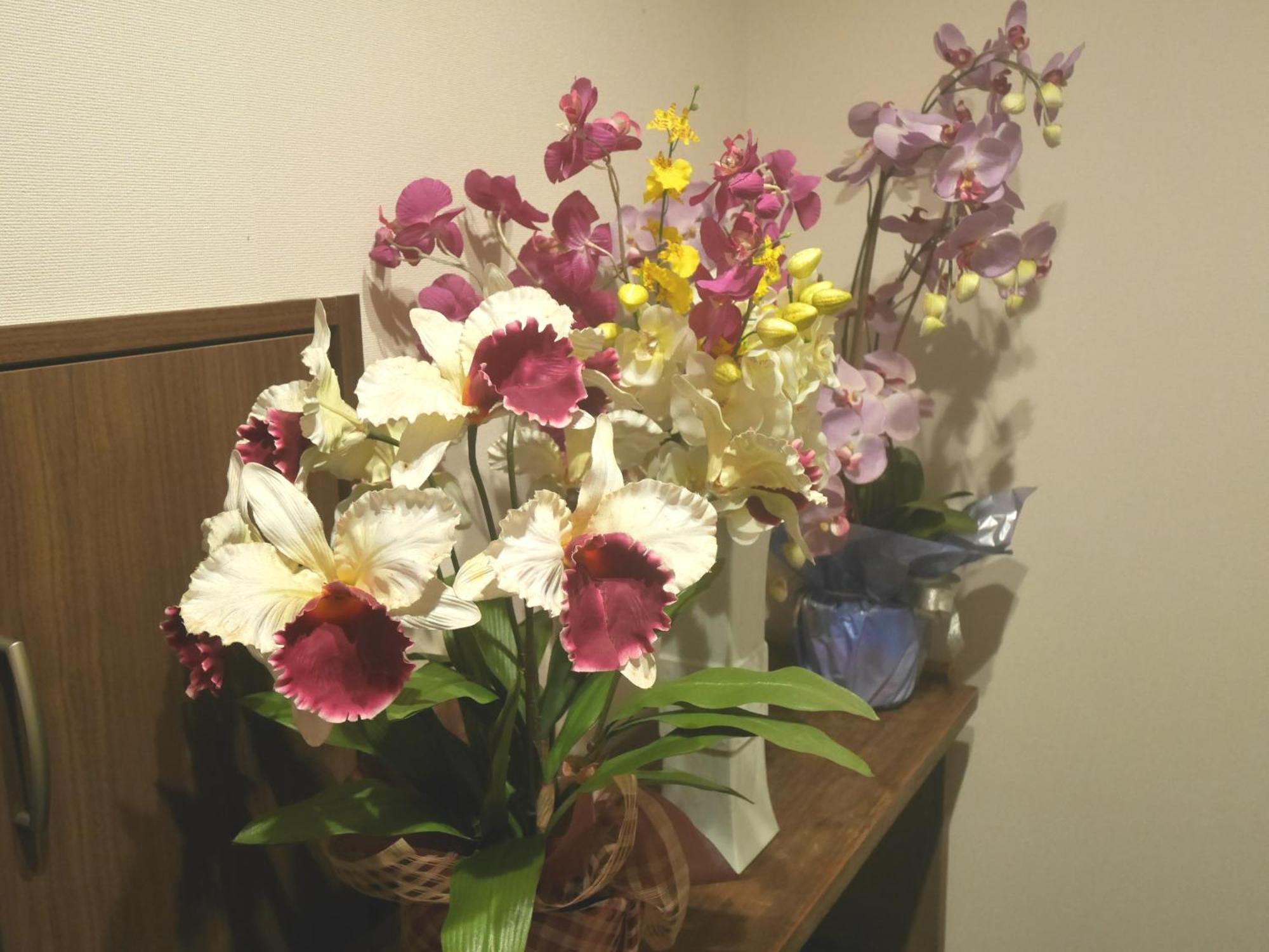 Guesthouse Grande今宮駅前 오사카 외부 사진